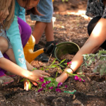 Kids gardening