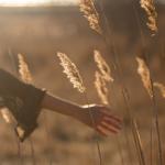 Person walking through an empty field